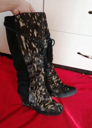 Чоботи заиша поні зима глоссси