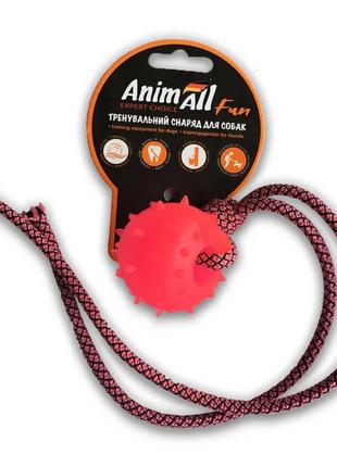 Іграшка animall fun куля з канатом, коралова, 4 см