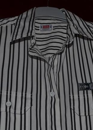 Мужская рубашка rainbow collection c двухуровневым коротким рукавом