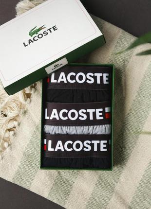 Чоловічі труси lacoste набір чоловічих трусів lacoste нижня білизна чоловіча від лакосте брендові боксерки лакосте2 фото