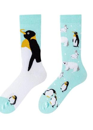 Разнопарные ,модные и яркие носки для девушек. длинные носки с принтом в одном стиле. унисекс.пингвин. р 37-43