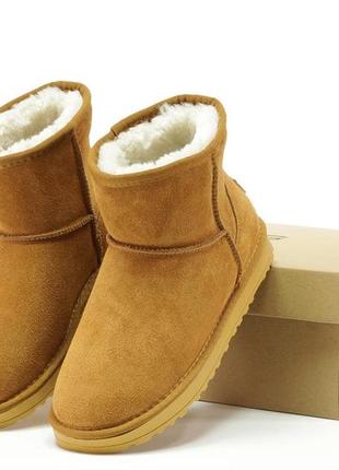 Угг ugg mini8 фото