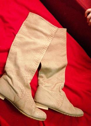 Сапоги кожа paoletti"