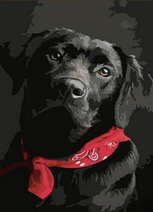 Алмазна мозаїка strateg преміум чорний лабрадор розміром 30х40 см (heg86044)