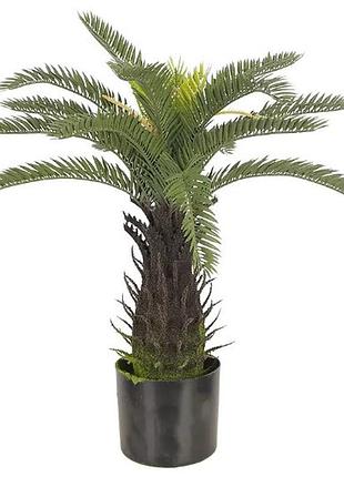 Искусственное растение engard fan palm 60см (dw-25)