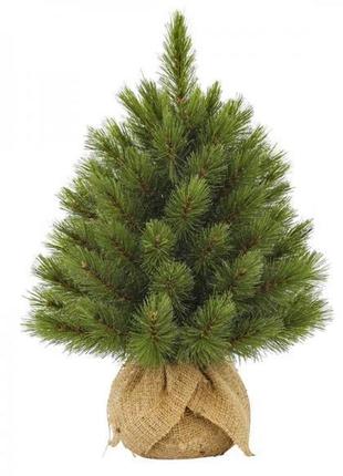 Сосна штучна triumph tree edelman forest frosted зелена 0,6м (8717669551874)