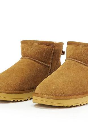 Уггі жіночі ультра міні ugg ultra mini, угги женские ультра мини2 фото