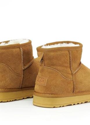 Угги мужские ультра мини ugg ultra mini, угги мужское ультра мины6 фото