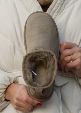 Женские угги ультра мини ugg ultra mini, жэнкие угги замшевое ультра мины7 фото