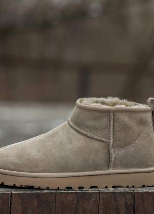 Женские угги ультра мини ugg ultra mini, жэнкие угги замшевое ультра мины8 фото