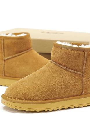 Женские угги ugg ultra mini зима