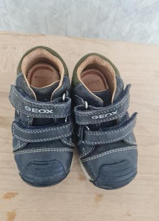 Детские ботинки geox 21 размер5 фото