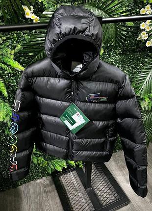 Зимова чоловіча куртка пухова зимняя мужская куртка пуховик lacoste