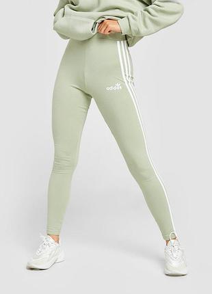Женские лосины, леггинсы adidas originals, размер m