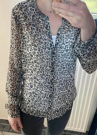 Блуза леопардова, тигрова м/л