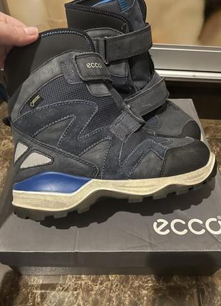 Чоботи ecco