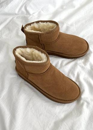 Уггі угги уги угі ugg ultra mini camel10 фото