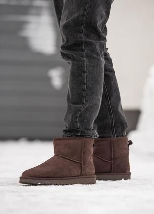 Мужские угги ugg classic mini brown мини коричневого цвета