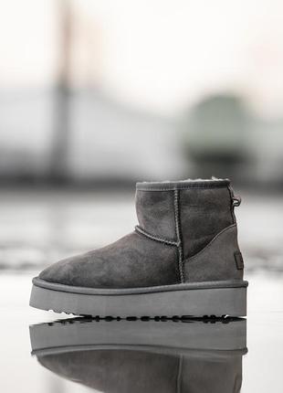 Женские замшевые угги мини, ugg ultra mini platform 3.5 см. серые, овчина. премиум