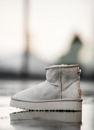 Женские замшевые угги мини, ugg ultra mini platform 3.5 см. свет серые, овчина. премиум