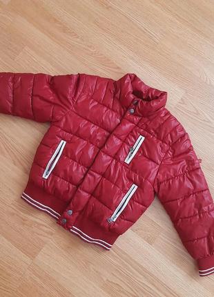 Куртка doddipetto