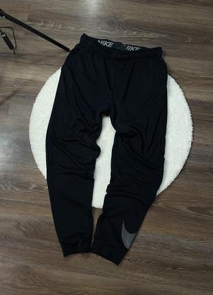 Штани nike holder 5.0 mens grey and purple pink