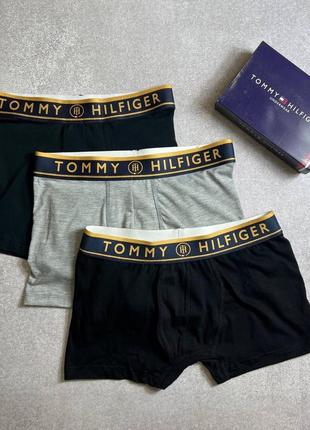 Набір трусів в стилі tommy hilfiger