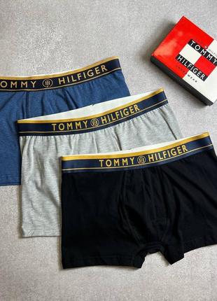 Набір трусів в стилі tommy hilfiger