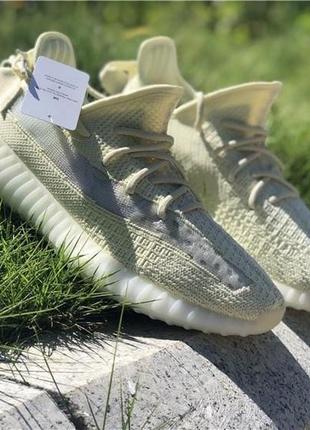 Кроссовки adidas yeezy boost 350 v2 beige yellow white изи ези лимон4 фото