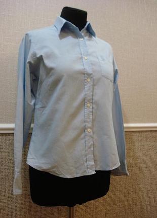 Класична приталені сорочка з коміром