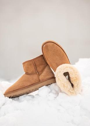 Замшеві чоловічі уггі міні , ugg classic mini . рижі, овчина. преміум