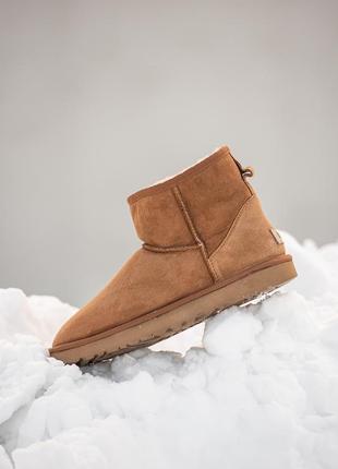 Замшеві чоловічі уггі міні , ugg classic mini . рижі, овчина. преміум
