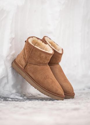 Замшеві чоловічі уггі міні , ugg classic mini . рижі, овчина. преміум