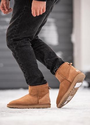 Замшеві чоловічі уггі міні , ugg classic mini . рижі, овчина. преміум
