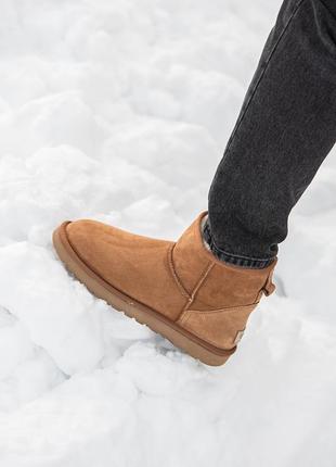 Замшеві чоловічі уггі міні , ugg classic mini . рижі, овчина. преміум