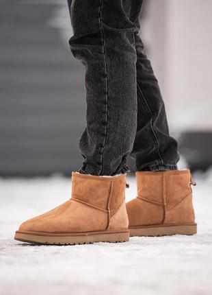 Замшевые мужские угги мини, ugg classic mini. ржи, овчина. премиум