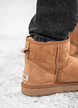 Замшеві чоловічі уггі міні , ugg classic mini . рижі, овчина. преміум