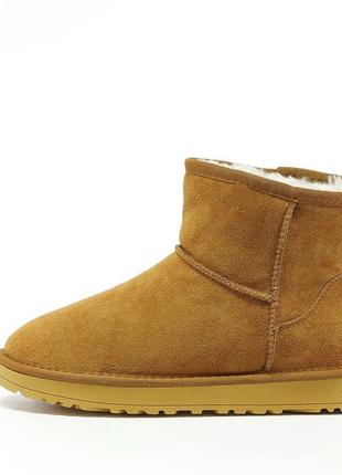 Ugg ultra mini зима