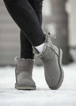 Замшевые женские угги мини с бантом, ugg classic mini bailey bow. серые, овчина.4 фото