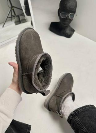 Замшевые женские угги ультра мини, овчина. ugg ultra mini, grey, premium2 фото