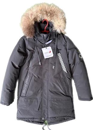 Зимние термо куртки на тинсулейте. зима 20232 фото