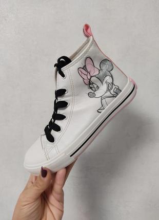 Кеди
