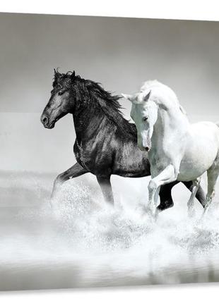 Картина холст у вітальню / спальню коні     mlp_95  ( 60х30см )