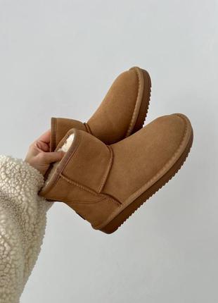 Трендовые угги ugg5 фото