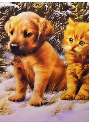 Алмазна мозаїка gld61262 diy 30х40см. на підрамнику, у подарунковій упаковці