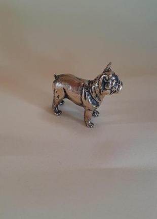 Бронзова статуетка французький бульдог, бронзовий собака бульдог, фігурка з бронзи собака французький бульдог2 фото