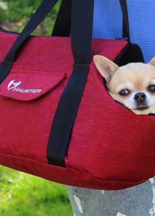 Сумка переноска для собак та котів city winter cherry m - 43х27х32см