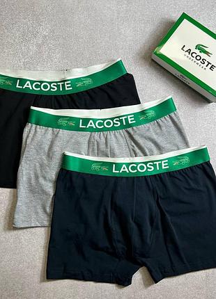 Мужской набор трусов lacoste1 фото