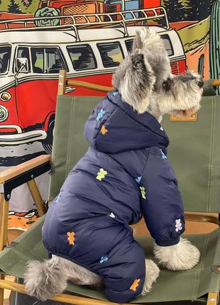 Зимовий комбінезон для собак, тепла куртка для собак із ведмедиків.2 фото