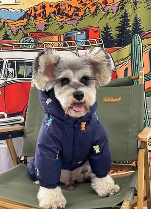 Зимовий комбінезон для собак, тепла куртка для собак із ведмедиків.5 фото